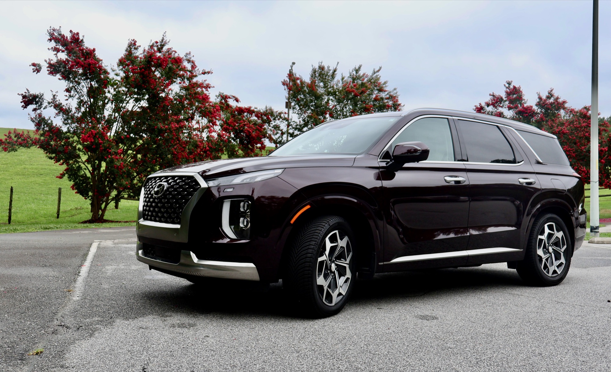 Burgundy 2022 Hyundai Palisade Calligraphy from the front driver-side angle